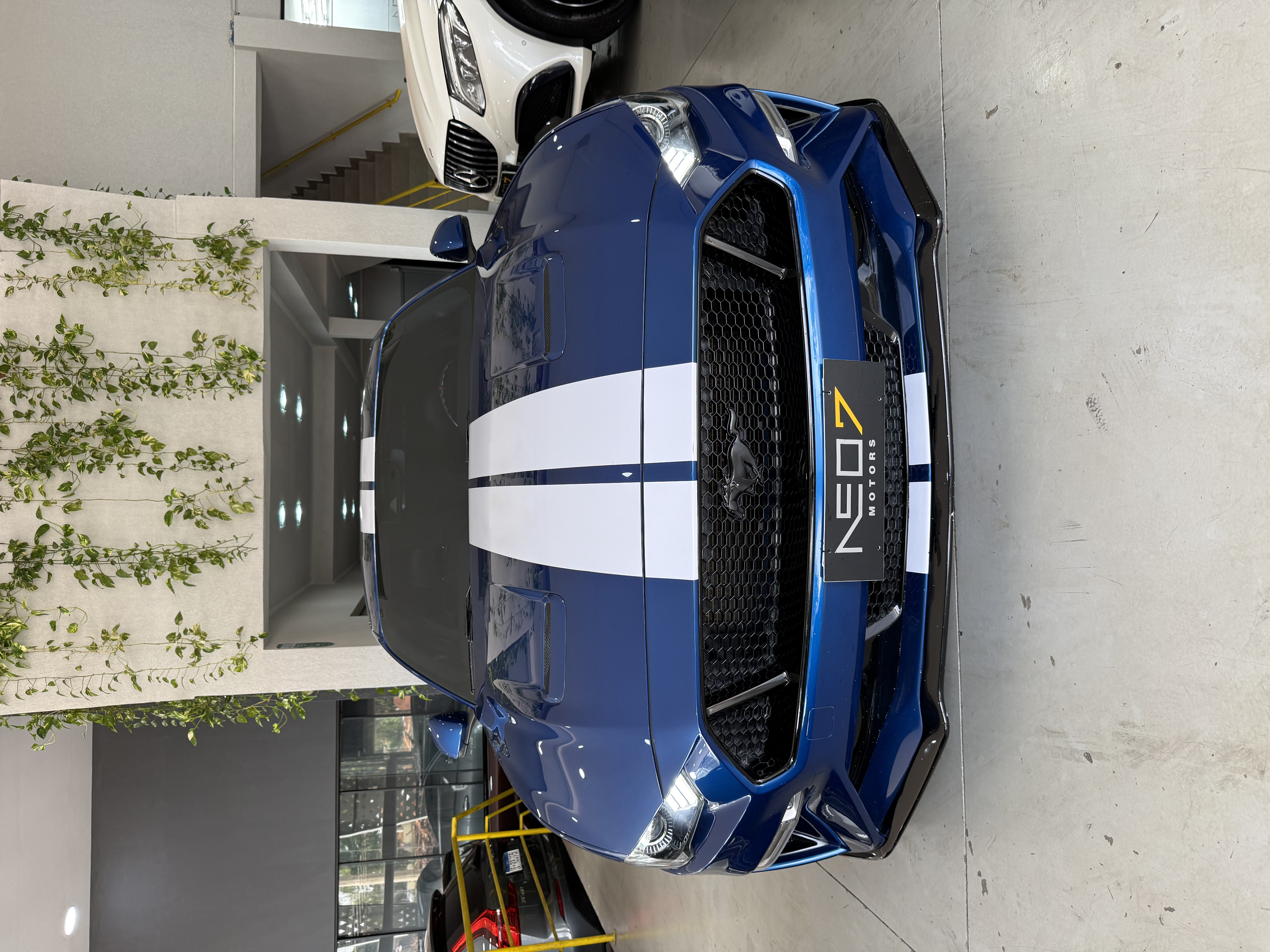 FORD MUSTANG