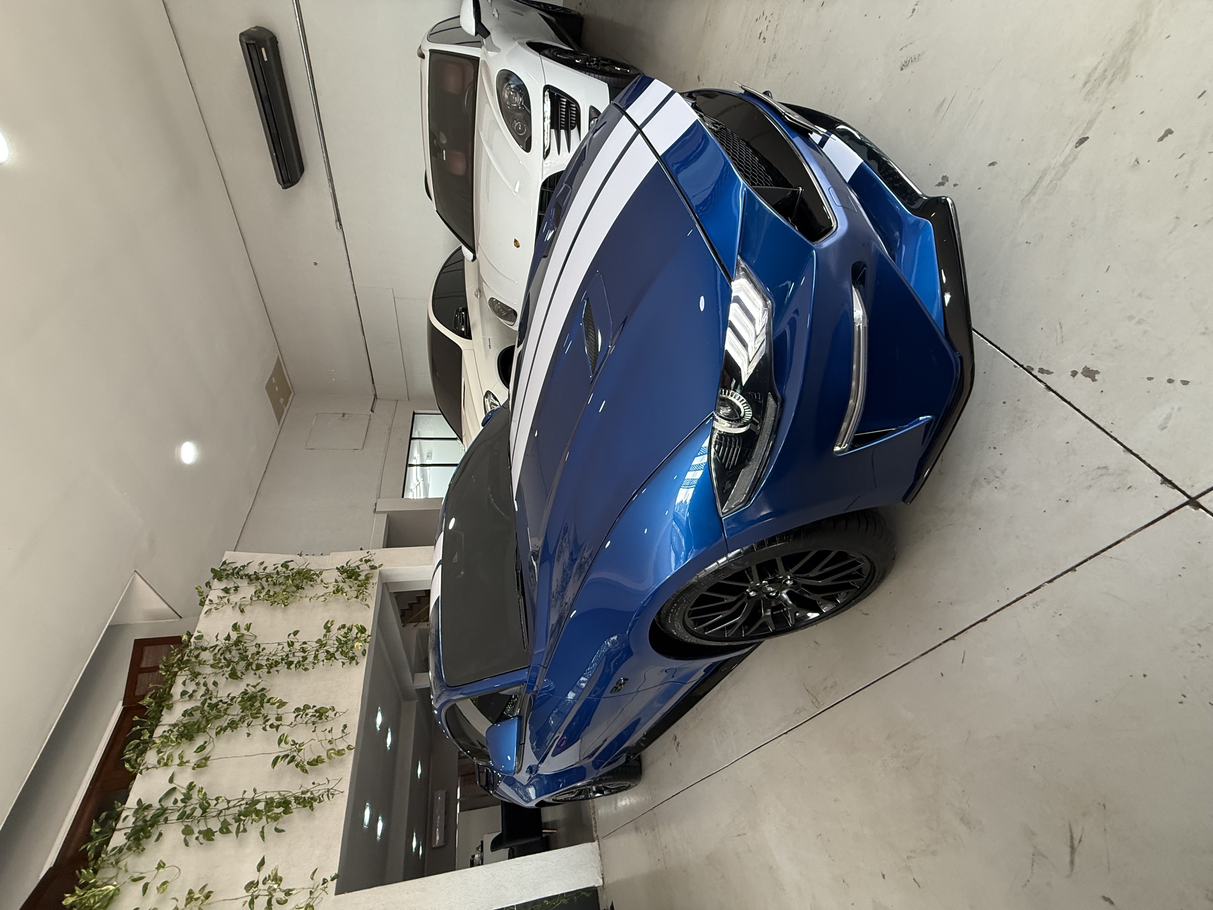 FORD MUSTANG